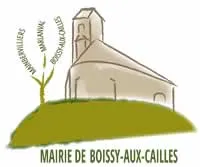 casse voiture Boissy-aux-Cailles (77760)