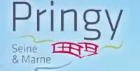casse voiture Pringy (77310)