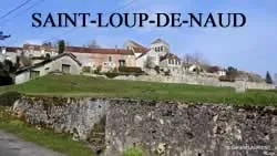 casse voiture Saint-Loup-de-Naud (77650)