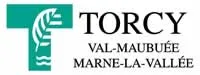 casse voiture Torcy (77200)