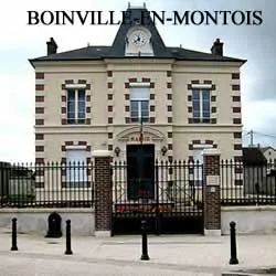 epaviste à proximité de Boinville-en-Mantois (78930)
