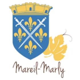 casse voiture Mareil-Marly (78750)