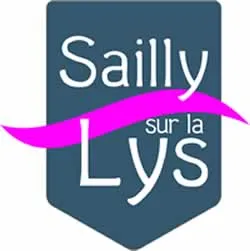 casse voiture Sailly (78440)