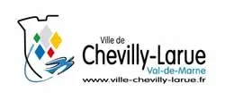 casse voiture Chevilly-Larue (94550)