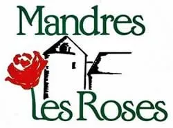 casse voiture Mandres-les-Roses (94520)