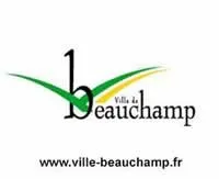 casse voiture Beauchamp (95250)