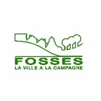 casse voiture Fosses (95017)