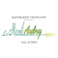 casse voiture Le Mesnil-Aubry (95720)
