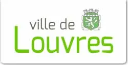 casse voiture Louvres (95380)