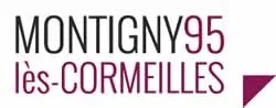 casse voiture Montigny-lès-Cormeilles (95370)