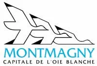 casse voiture Montmagny (95360)