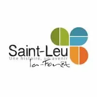 casse voiture Saint-Leu-la-Forêt (95320)