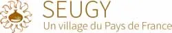 casse voiture Seugy (95270)